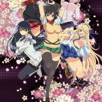 閃乱カグラ Blu-ray BOX （ブルーレイディスク）